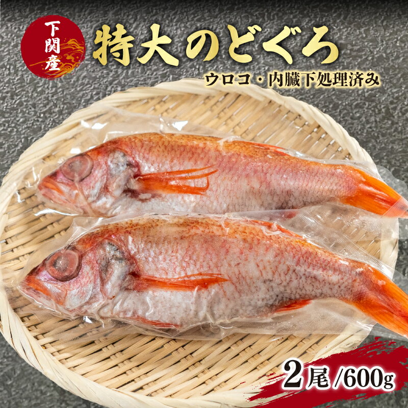 【ふるさと納税】 のどぐろ 特大 サイズ 2尾 高級 魚 鮮魚 冷凍 アカムツ 下処理 済 下関 産