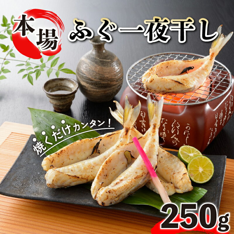 ふぐ 国産 一夜干し 250g 干物 おつまみ おかず ふく ギフト 中元 贈答 下関 山口 ごはんのお供