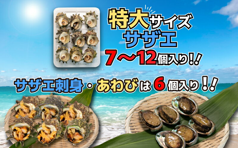 【ふるさと納税】 サザエ サザエ刺身 あわび セット 冷凍 スチーム加工 個包装 簡単調理 おかず おつまみ 下関 ギフト 贈答 歳暮 中元 産地直送 貝