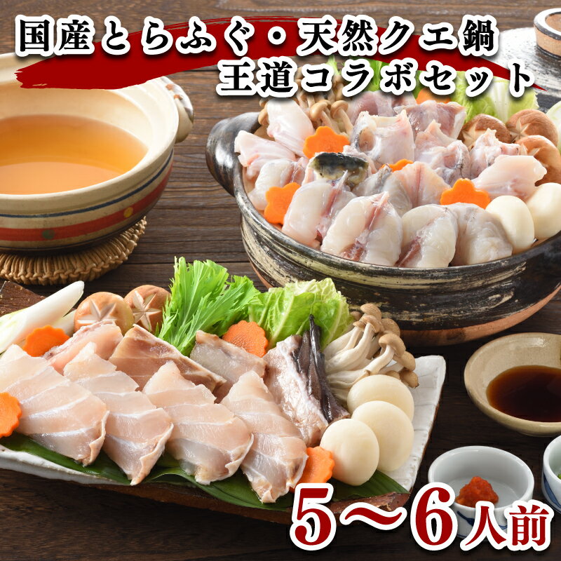 【ふるさと納税】 ふぐ 天然クエ 鍋 セット 5〜6人前 とらふぐ くえ 九絵 高級魚 冷凍 餅 スープ 低カロリー 高タンパク 低脂肪 コラーゲン ポン酢 もみじ 下関 山口 ヤマモ水産 T&K01のサムネイル