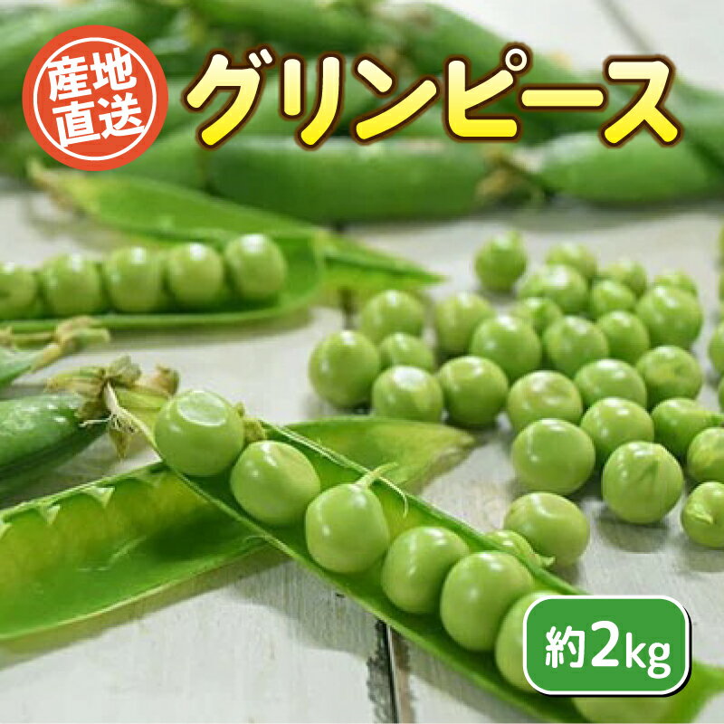 【ふるさと納税】 グリーンピース 約 2kg セット 野菜 新鮮 旬 産地直送 豊浦町 川棚 下関 山口のサムネイル