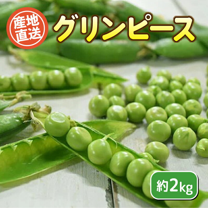 【ふるさと納税】 グリーンピース 約 2kg セット 野菜 新鮮 旬 産地直送 豊浦町 川棚 下関 山口