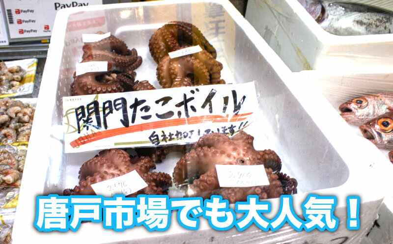 【ふるさと納税】 たこ ボイル 冷凍 約1kg 真空 パック 地ダコ 関門だこ 蛸 鮮魚店 唐戸市場 直送 下関 うお華