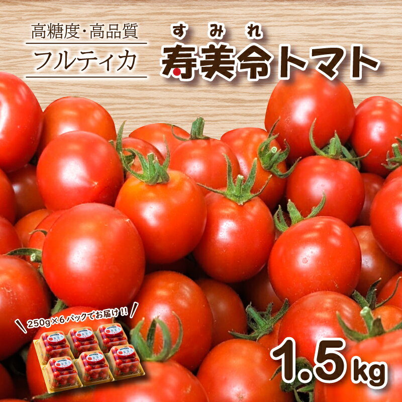 【ふるさと納税】 寿美令トマト フルーツトマト 1.5kg ( 250gパック×6個 ) 選べる 発送 月 野菜 新鮮 プチトマト 期間限定 小分け 季節限定 トマト 下関 山口
