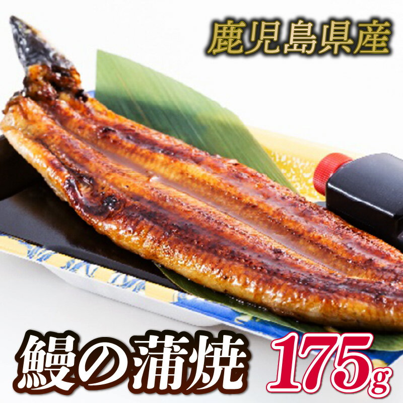 【ふるさと納税】 うなぎ 蒲焼 国産 鹿児島 1尾 175g