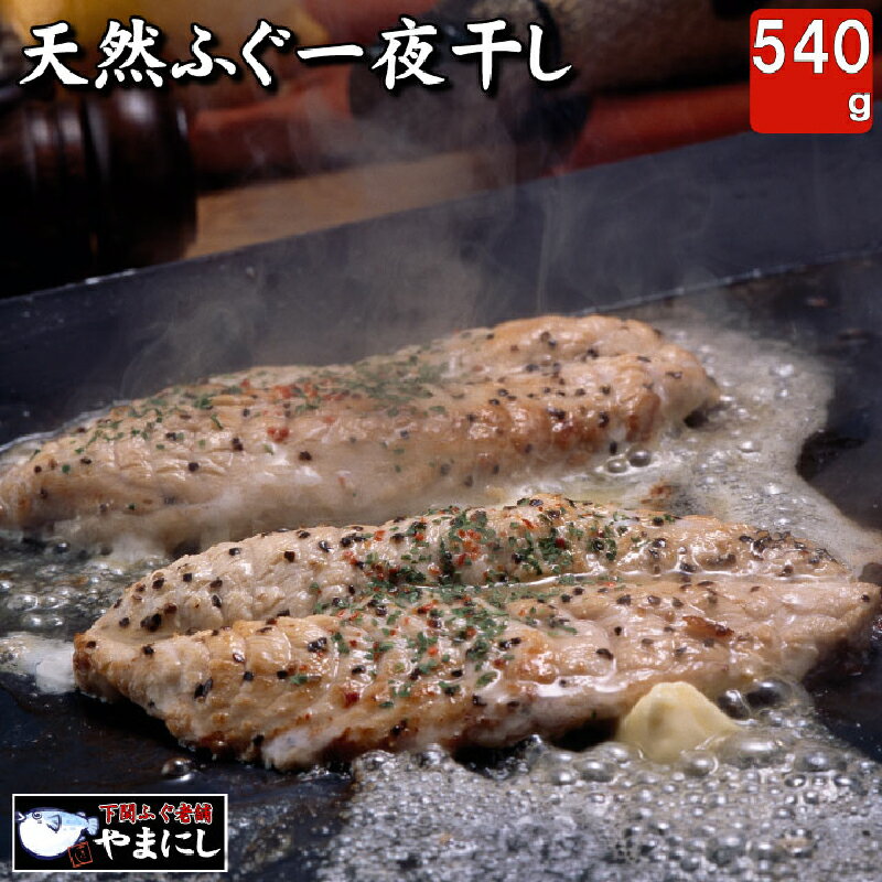 ふぐ ふく 干物 540g 一夜干し アレンジ 料理 旨味 高級 魚 河豚 下関 下関 山口