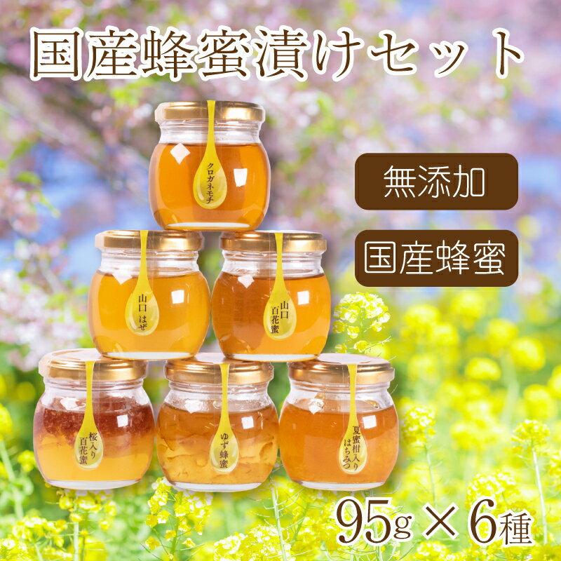 16位! 口コミ数「0件」評価「0」 はちみつ 国産 蜂蜜漬け セット 570g( 95g×6種 ) 山口県産 下関