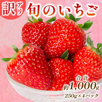 旬のいちご詰合せセット 1kg 訳あり 数量 限定 苺 いちご 紅ほっぺ かおりの 果物 フルーツ 冷蔵 豊田 農業公園 みのりの丘 山口 下関 豊田町