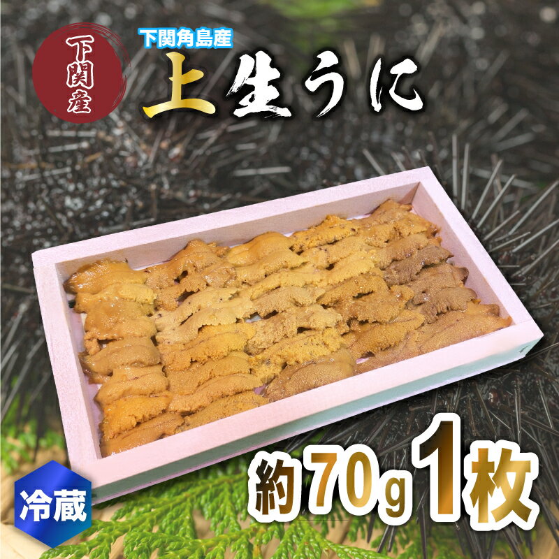 【ふるさと納税】 上品 生 うに ウニ 雲丹 紫うに 板ウニ 1枚 約70g 冷蔵 角島産 下関 唐戸市場 直送