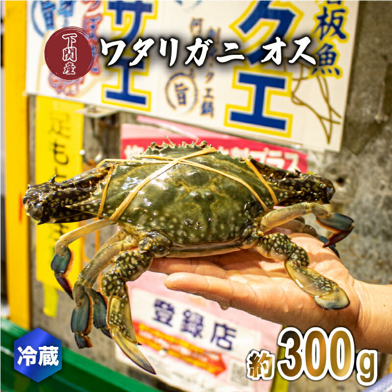【ふるさと納税】 ワタリガニ オス 約300g 冷蔵 ガザミ 蟹 下関 唐戸市場 直送 夏季