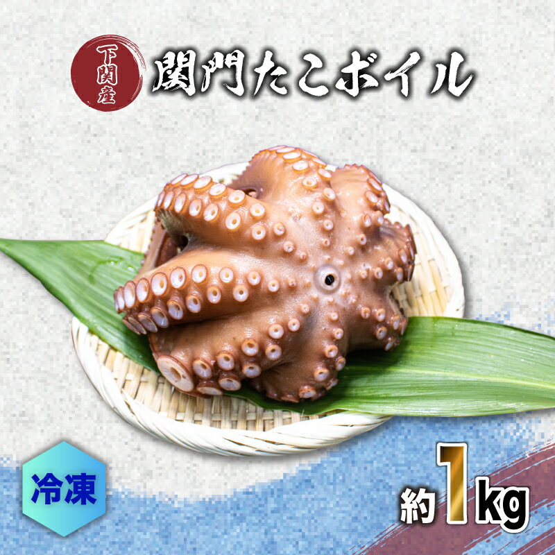 【ふるさと納税】 たこ ボイル 冷凍 約1kg 真空 パック 地ダコ 関門だこ 蛸 鮮魚店 唐戸市場 直送 下関 うお華