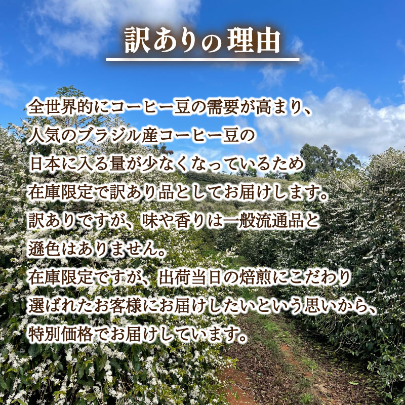 【ふるさと納税】 訳あり コーヒー 豆 1kg ( 500g × 2袋 ) ブラジル 再入荷 2024年度入荷分 コーヒー豆 自家焙煎 焙煎 スペシャルティコーヒー 豆 選べる 挽き方 粗挽き 中挽き 細挽き 珈琲 飲料 限定 おうち時間 下関 山口