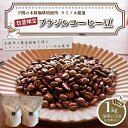 【ふるさと納税】 訳あり コーヒー 豆 1kg ( 500g × 2袋 ) ブラジル 再入荷 2024年度入荷分 コーヒー豆 自家焙煎 焙煎 スペシャルティコーヒー 豆 選べる 挽き方 粗挽き 中挽き 細挽き 珈琲 飲料 限定 おうち時間 下関 山口