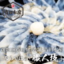 山口県下関市の画像2