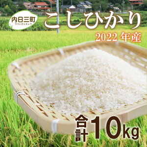 【ふるさと納税】 山口 県産 コシヒカリ 米5kg × 2箱 2022 年度 無洗米 特別栽培エコ50