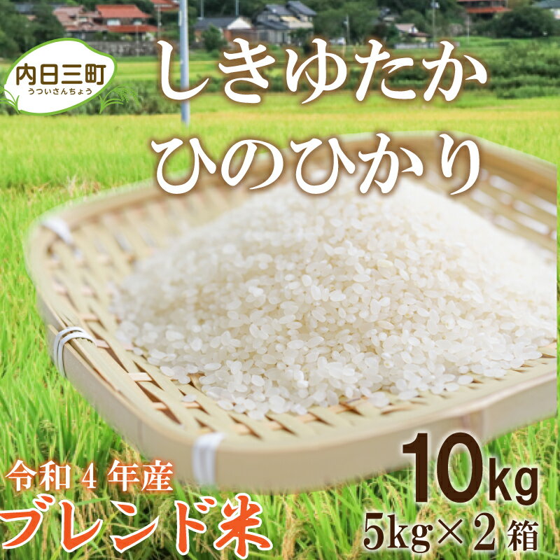 【ふるさと納税】 米 無洗米 10kg ( 5kg × 2袋 ) 令和4年産 しきゆ...