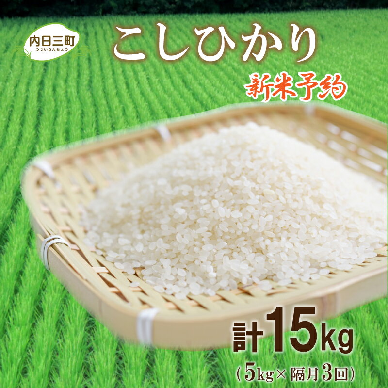 【ふるさと納税】 米 定期便 5kg 隔月3回 計 15kg コシヒカリ 山口 県産...