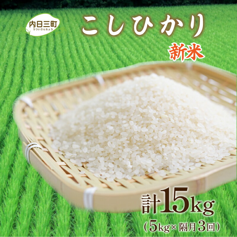 【ふるさと納税】 米 定期便 5kg 隔月3回 計 15kg コシヒカリ 山口 県産 無洗米 新米 白米 お米 ご飯 特別栽培エコ50 農家直送 下関