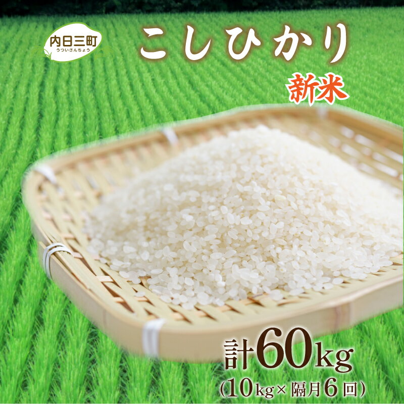 【ふるさと納税】 米 定期便 10kg 隔月6回 計 60kg コシヒカリ 山口 県産 無洗米 新米 白米 お米 ご飯 特別栽培エコ50 農家直送 下関