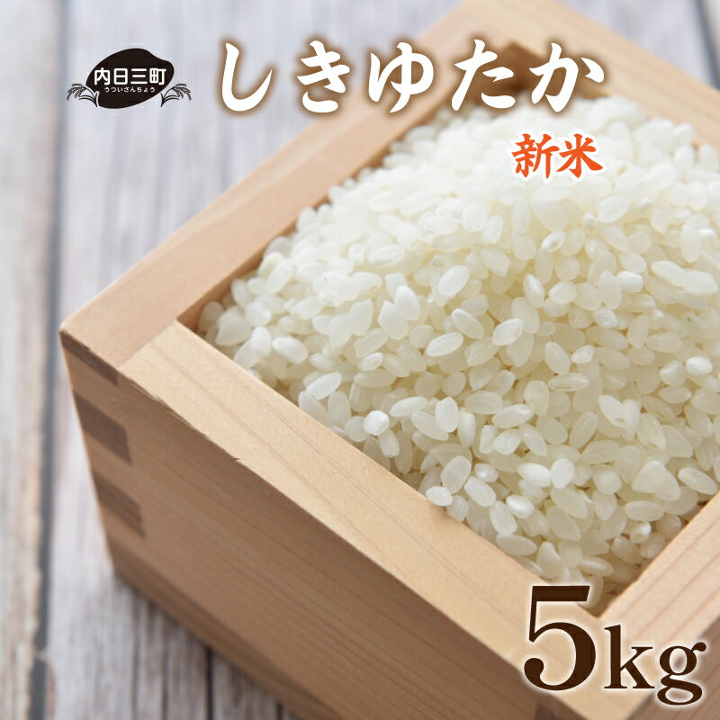 米 5kg しきゆたか 山口 県産 無洗米 新米 白米 お米 ご飯 農家直送 下関