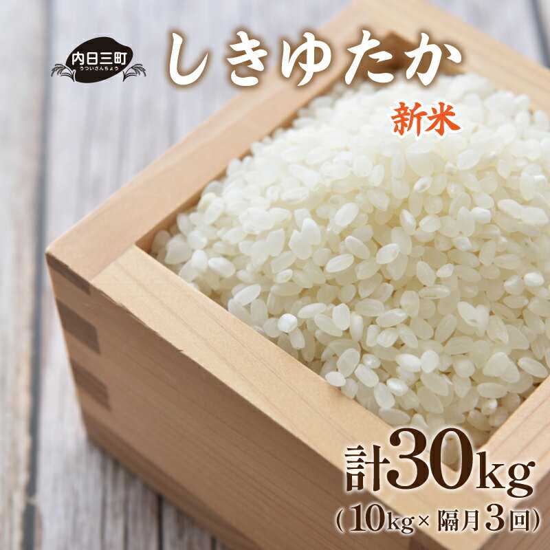 米 定期便 10kg 隔月3回 計 30kg しきゆたか 山口 県産 無洗米 新米 白米 お米 ご飯 農家直送 下関