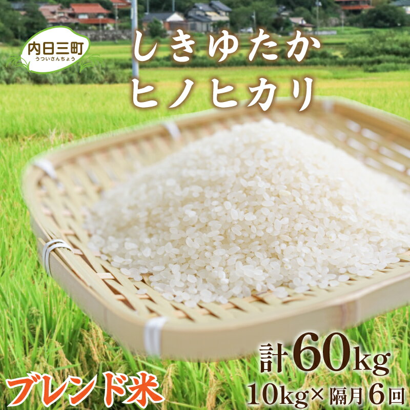 2位! 口コミ数「1件」評価「1」 米 定期便 Wブレンド米 10kg 隔月6回 計 60kg 山口 県産 しきゆたか ヒノヒカリ 無洗米 白米 お米 ご飯 農家直送 下関