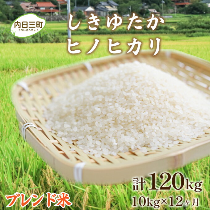 【ふるさと納税】 米 定期便 ブレンド米 10kg 毎月12回 計 120kg 山口 県産 しきゆたか ヒノヒカリ 無洗米 白米 お米 ご飯 農家直送 下関