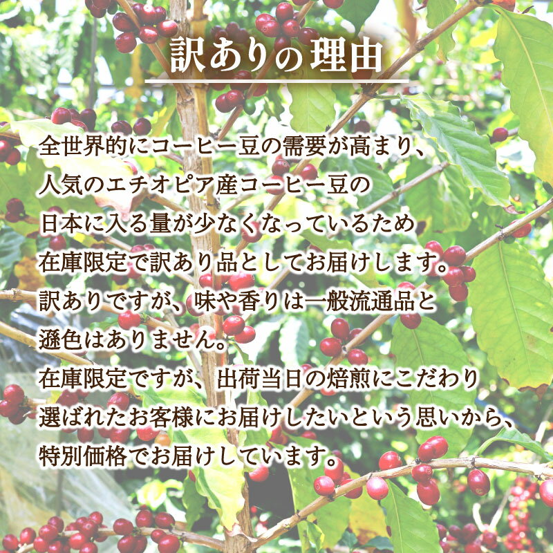 【ふるさと納税】 訳あり コーヒー 粉 1kg ( 500g × 2袋 ) エチオピア 珈琲 ハンドドリップ 自家焙煎 焙煎 スペシャルティコーヒー 選べる 煎り方 深煎り 中煎り 浅煎り 飲料 限定 おうち時間 下関 山口