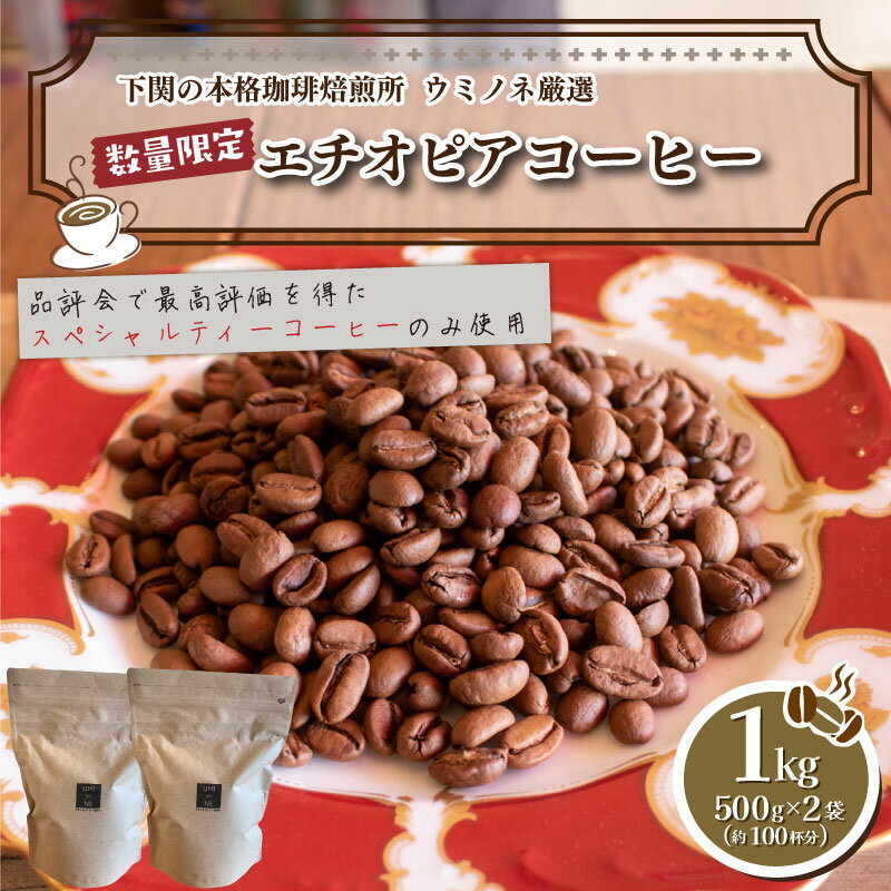 【ふるさと納税】 訳あり コーヒー 粉 1kg ( 500g × 2袋 ) エチオピア 珈琲 ハンドドリップ 自家焙煎 ...