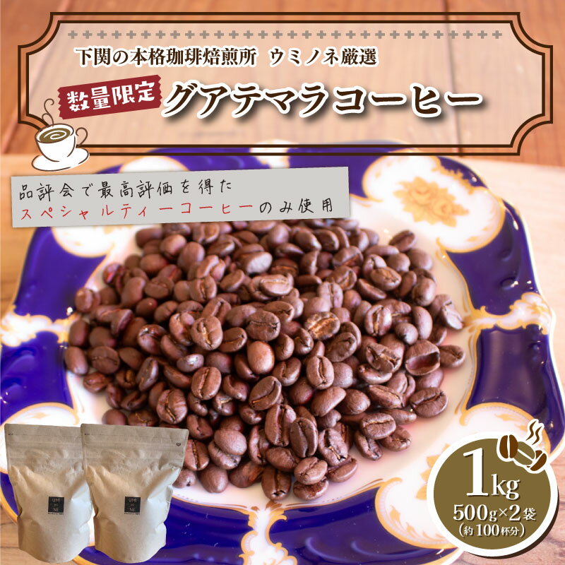 【ふるさと納税】 訳あり コーヒー 粉 1kg ( 500g × 2袋 ) グアテマラ 珈琲 ハンドドリップ 自家焙煎 焙煎 スペシャルティコーヒー 選べる 煎り方 深煎り 中煎り 浅煎り 飲料 限定 おうち時間 下関 山口