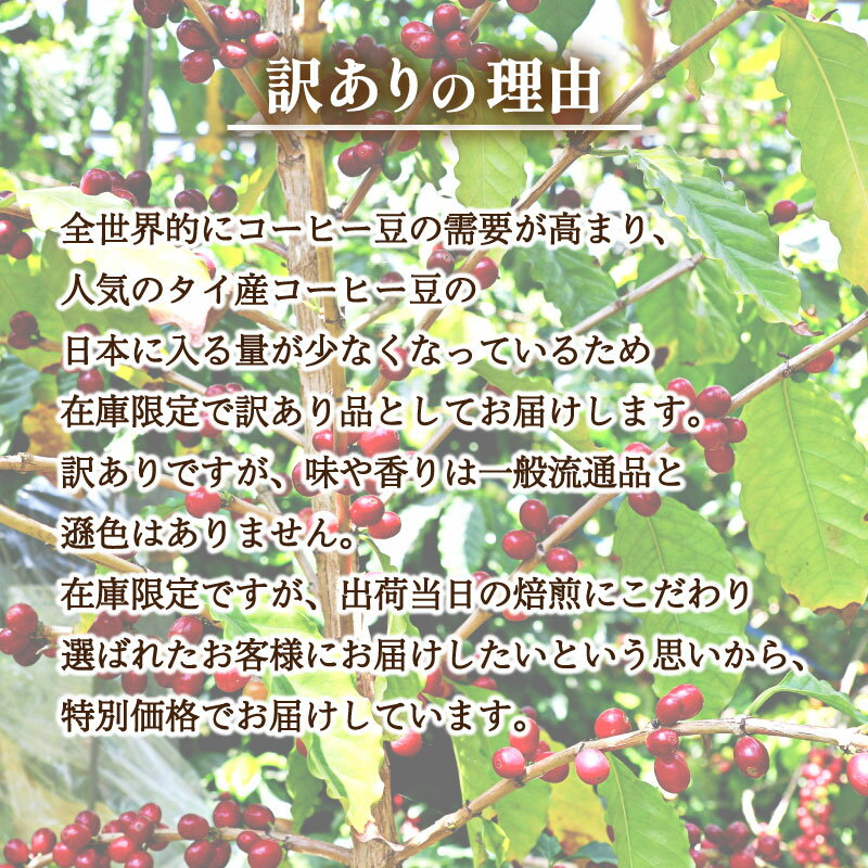 【ふるさと納税】 訳あり コーヒー豆 1kg ( 500g × 2袋 ) 数量限定 選べる 煎り方 深煎り 中煎り 浅煎り タイ 珈琲 自家焙煎 飲料 限定 おうち時間 下関 山口