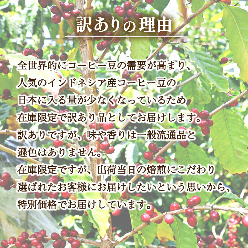 【ふるさと納税】 訳あり コーヒー 豆 1kg ( 500g × 2袋 ) 数量限定 選べる 煎り方 深煎り 中深煎り 浅煎り インドネシア 珈琲 自家焙煎 飲料 限定 おうち時間 下関 山口