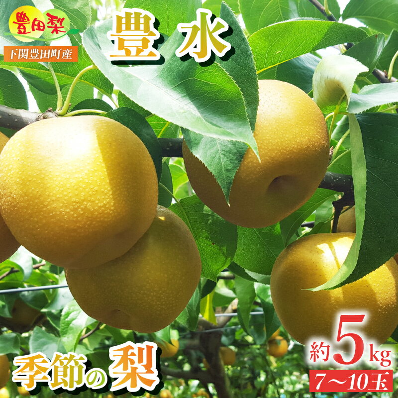 【ふるさと納税】 梨 5kg セット 7〜10玉 大玉 豊水梨 なし 詰め合わせ 緩衝材 キャップ 付き 豊水 フルーツ 季節 旬 果物 期間 数量 限定 9月 豊田の梨 豊田町 山口 人気 下関 夏 秋のサムネイル