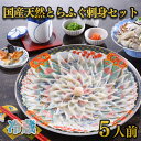 【ふるさと納税】天然 とらふぐ 刺身 セット 5人前 期間 限定 菊盛 200g 身皮 200g 冷蔵 高級魚 ふぐ ひれ 酒 用 低カロリー 高タンパク 低脂肪 コラーゲン 皮 ポン酢 もみじ 付き 陶器皿 下関 山口 指定日可 ヤマモ水産