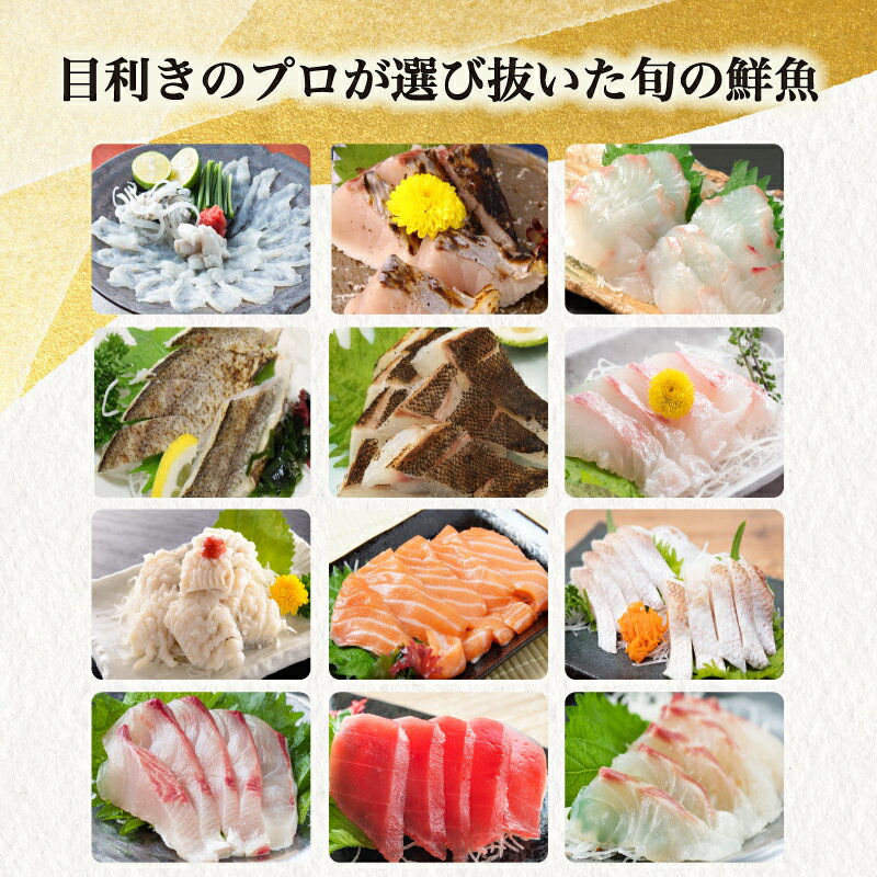 【ふるさと納税】 定期便 年6回 隔月 豪華刺身旬魚セット 高級 鮮魚 魚介 海鮮 冷凍 定期便 お楽しみ 刺身 お手軽 解凍するだけ ふぐ 河豚 フグ刺し ひらめ ヒラメ カマス 真鯛 タイ 鱧 はも のどぐろ 平政 ヒラマサ 鰆 さわら イサキ クエ 半年間 下関 山口 ヤマモ水産