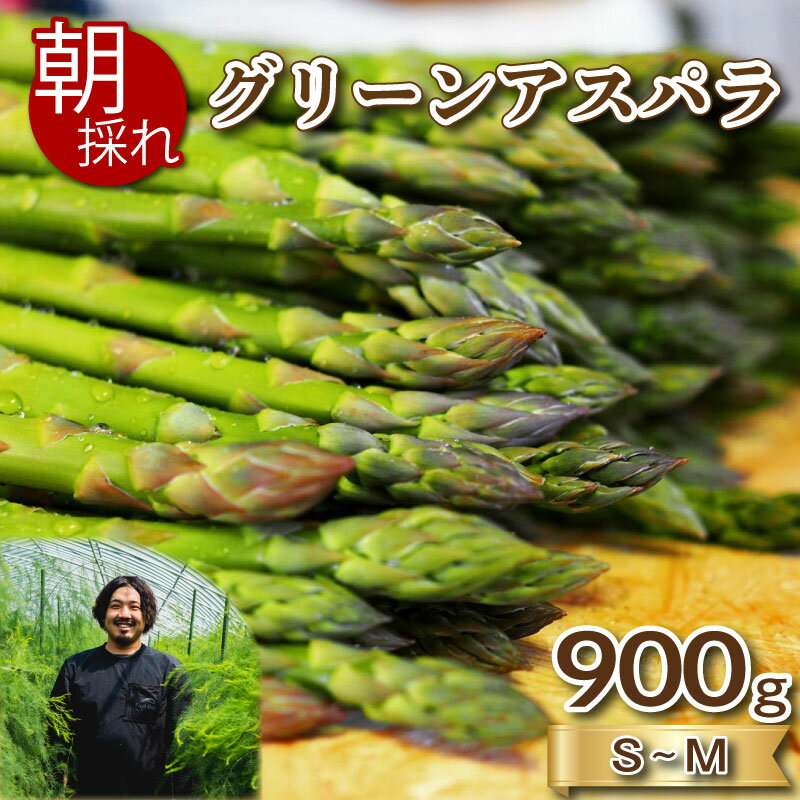 【ふるさと納税】 アスパラガス 900g 期間限定 朝採れ 夏 限定 大容量 アスパラ 夏芽 S 〜 M 有機栽培 サイズ混合 訳あり セット 野菜 新鮮 下関 山口のサムネイル