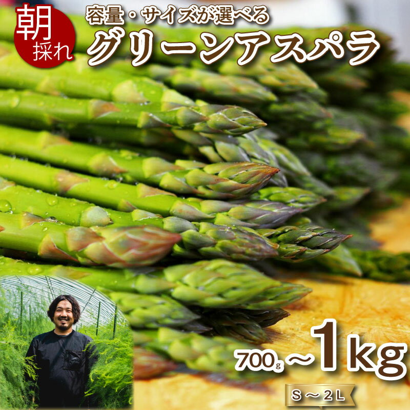 【ふるさと納税】 アスパラガス 700g~1kg 期間限定 朝採れ 春 夏 限定 大容量 アスパラ 春芽 夏芽 S〜 2L 有機栽培 サイズ混合 訳あり セット 野菜 新鮮 下関 山口