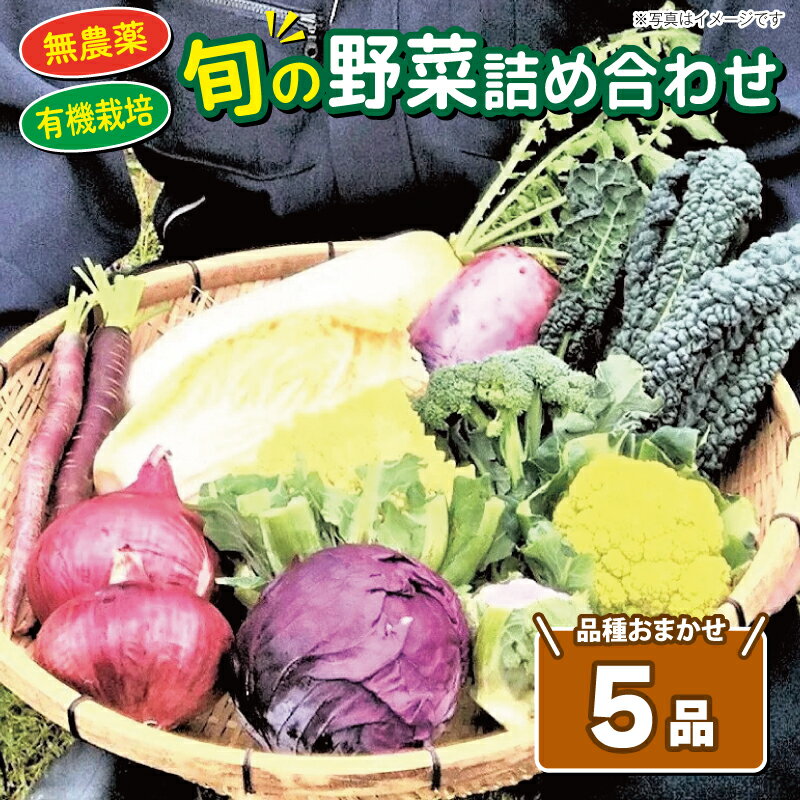【ふるさと納税】 野菜 セット 旬の野菜 詰め合わせ 5品種 おまかせ 国産 やさい サラダ 季節 旬 新鮮 産地直送 豊浦町 川棚 下関 山口のサムネイル