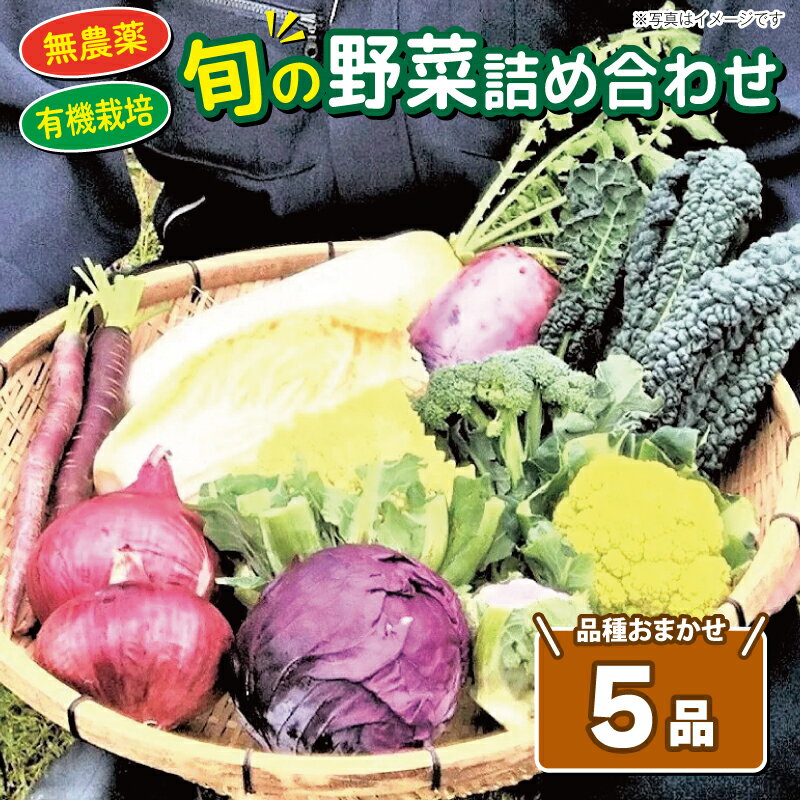 旬の野菜 5品種 詰め合わせ セット お楽しみ 産地直送 農家直送 季節 旬 おまかせ 春 夏 秋 冬 やさい サラダ 栽培期間中 農薬 不使用 豊浦町 川棚 下関 山口