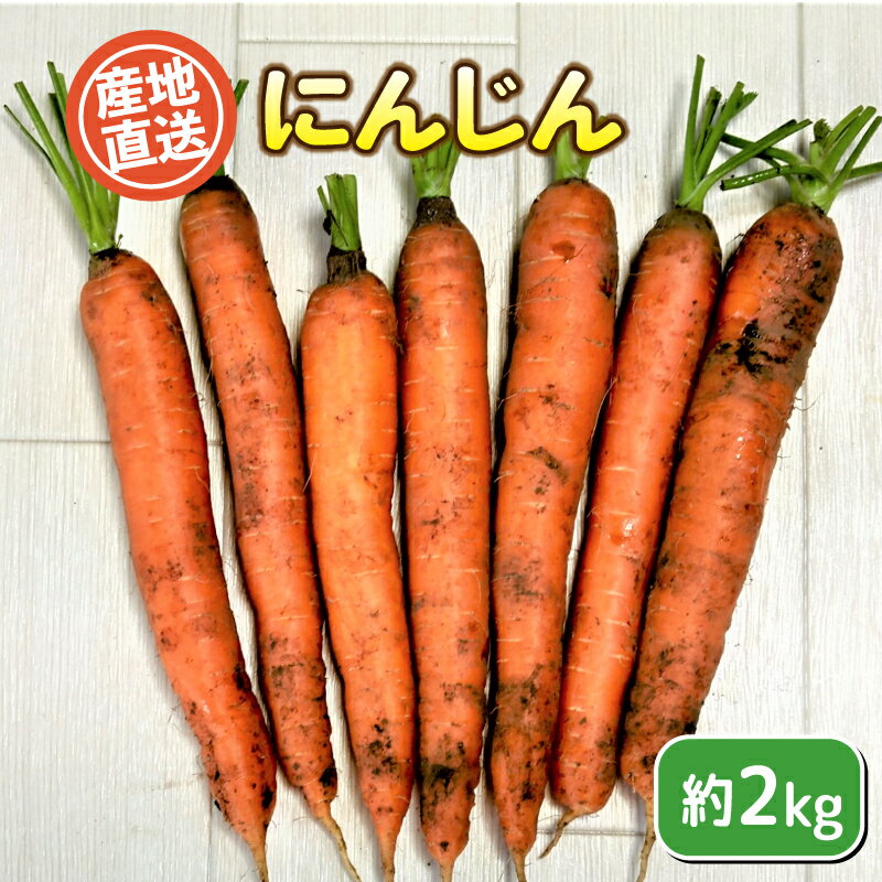 【ふるさと納税】 にんじん 約 2kg 人参 ニンジン 野菜