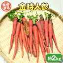  金時人参 約 2kg 期間限定 野菜 にんじん キャロット 惣菜 煮物 産地直送 下関 山口