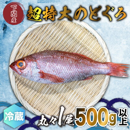 のどぐろ 500g up 1尾 特大 サイズ アカムツ 冷蔵 新鮮 下関 唐戸市場 鮮魚店 直送 高級 鮮魚 炙り 刺し もオススメ 白身 トロ 水揚げ量 日本一