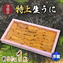 【ふるさと納税】 うに 特上品 生うに ウニ 雲丹 紫うに 