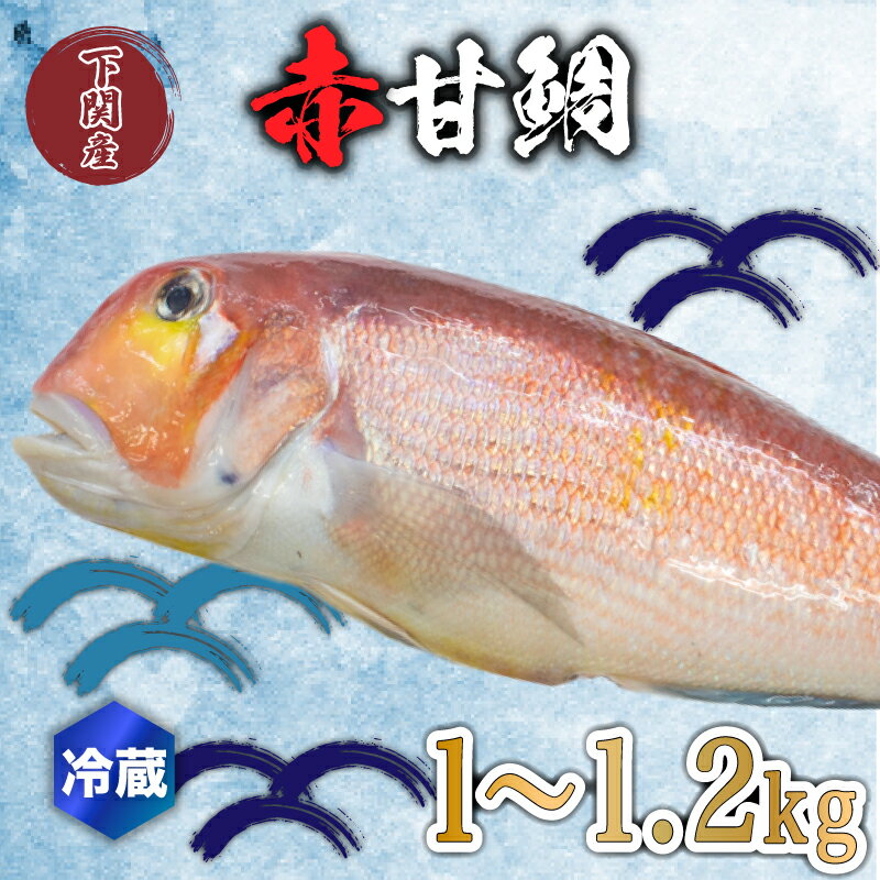 【ふるさと納税】 赤 甘鯛 1～1.2kg 冷蔵 高級 魚 鮮魚 シロ アマダイ 鯛 下処理 済み 新鮮 下関 唐戸市場 直送