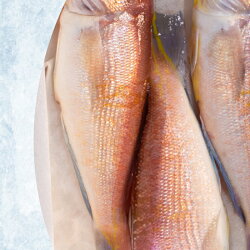 【ふるさと納税】 赤 甘鯛 1.3～1.5kg 冷蔵 高級 魚 鮮魚 アカ アマダイ 鯛 下処理 済み 新鮮 下関 唐戸市場 直送 画像2