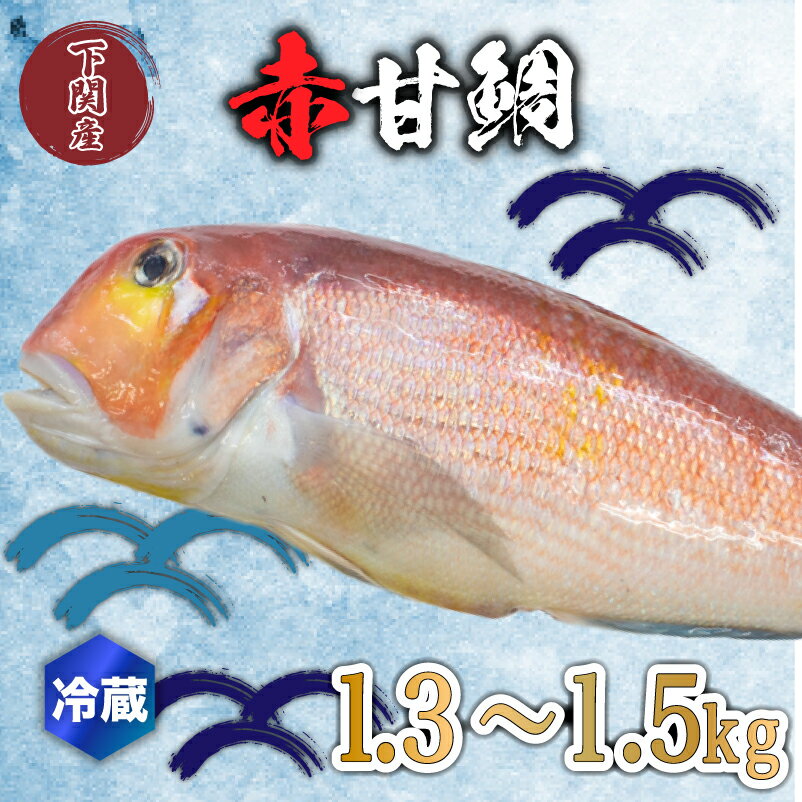 【ふるさと納税】 赤 甘鯛 1.3～1.5kg 冷蔵 高級 魚 鮮魚 アカ アマダイ 鯛 下処理 済み 新鮮 下関 唐戸市場 直送