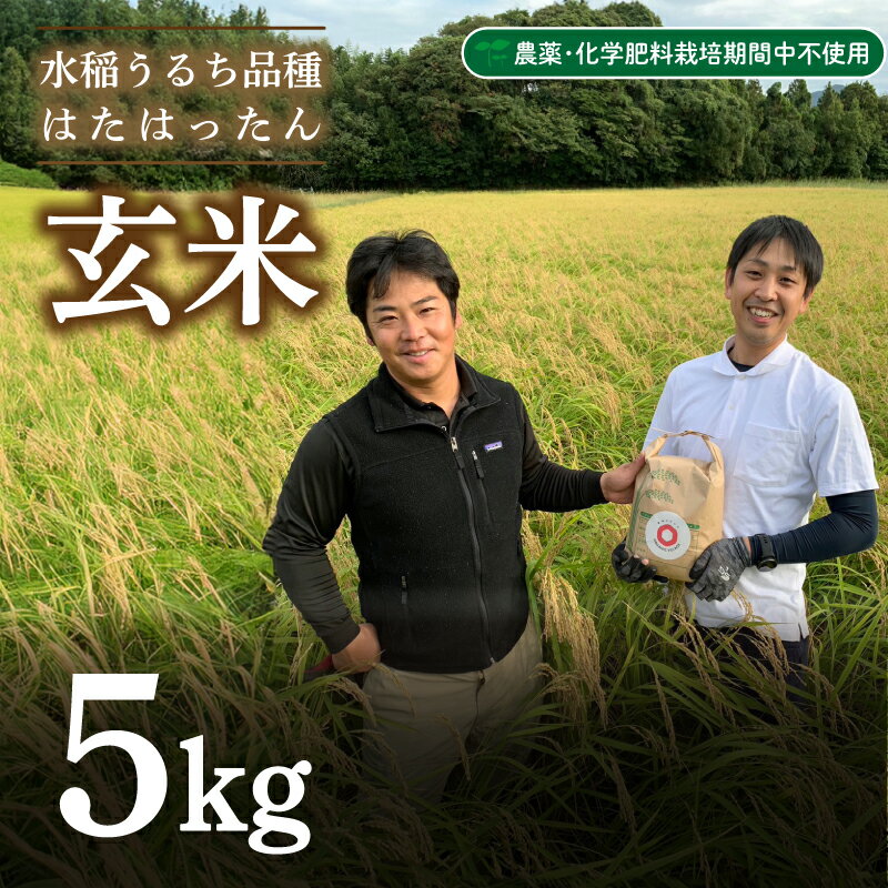 玄米 5kg 新米 精米可 白米 山口 県産 うるち お米 おこめ 米 こめ コメ おにぎり お弁当 玄米 健康 食物繊維 有機栽培 栽培期間中 農薬 化学肥料 不使用 はたはったん 産地直送 下関 豊浦 秋 季節