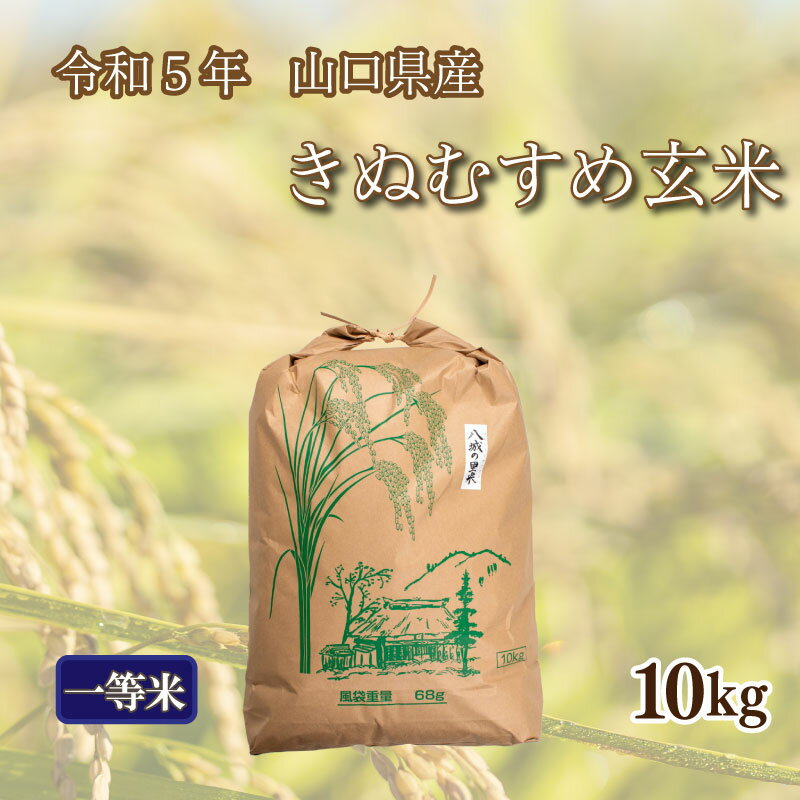 【ふるさと納税】 令和5年 新米 収穫 期間限定 きぬむすめ 玄米 10kg 1箱 下関市 山口県産