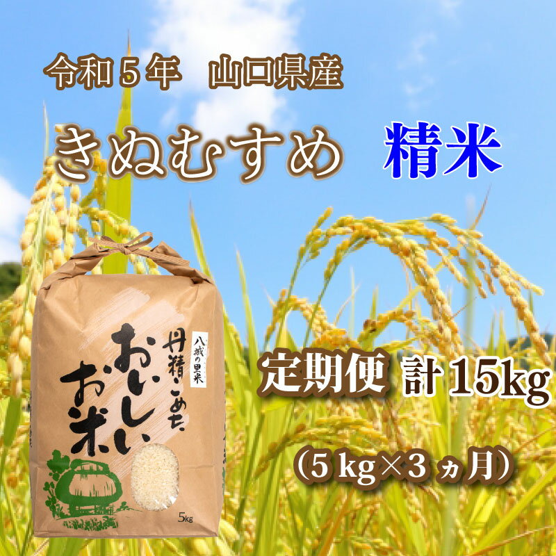 【ふるさと納税】 《定期便 3ヵ月》 5kg きぬむすめ 計 15kg 令和5年 精米 八城の里米 豊北町 農家 直送 下関市 山口県産