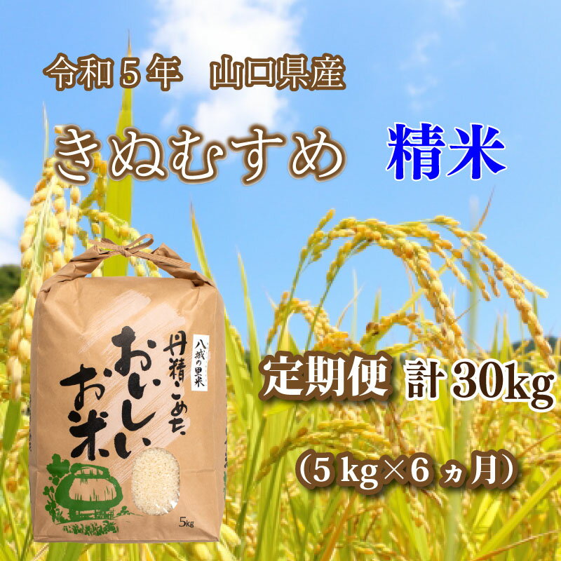 【ふるさと納税】 《定期便 6ヵ月》 令和 5年 山口県産 きぬむすめ 精米 5kg×6回 計 30kg 精米 八城の里米 豊北町 農家 直送 下関市 山口県産